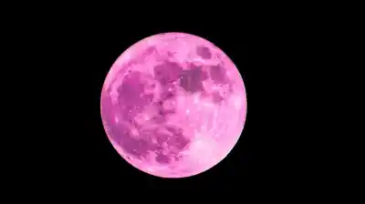 La Luna Rosa se prepara para iluminar el cielo argentino: el secreto detrás de su nombre y su poderosa simbología