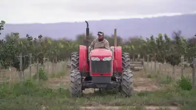 Alerta por heladas en San Juan: el dato que preocupa a los productores tras la última helada