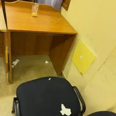 Villa Gesell: la imagen que complica a una concejal del PRO y desató la furia del radicalismo