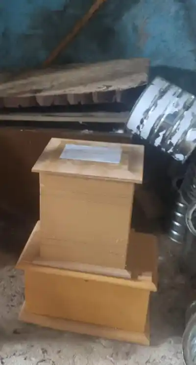 Volvieron a limpiar la casa de los ataúdes y se toparon con lo que nadie esperaba