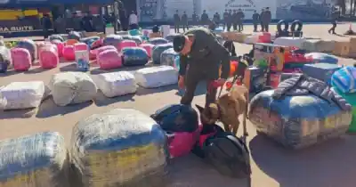 Cuatro colectivos salieron de Orán cargados: lo que Gendarmería halló adentro cambió todo