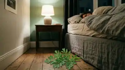 El secreto que tenés en tu mesa de luz: el ritual nocturno con una planta que promete cambiar tu sueño