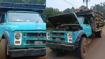Lo frenaron en la ruta 103 con un camión cargado de madera: lo que encontraron adentro los dejó sin palabras