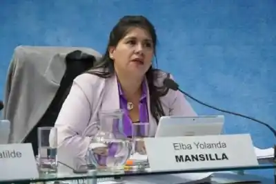 Mansilla respalda la libre elección de obra social y pide no competir por la autoría del proyecto