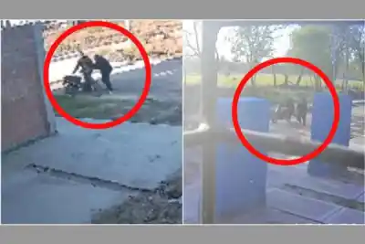 La Banda: entraron a robar a la manzana 48 y las cámaras captaron todo