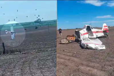 La avioneta cayó en picada en un campo entrerriano: lo que el video captó segundos antes