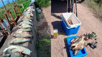 Operativo sorpresa en el Río Dulce: Lo que encontraron en los bañados dejó sin palabras a los guardafaunas
