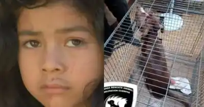 Una nena de 6 años vuelve a casa tras un ataque de perro: las versiones enfrentadas que dejó el barrio en vilo