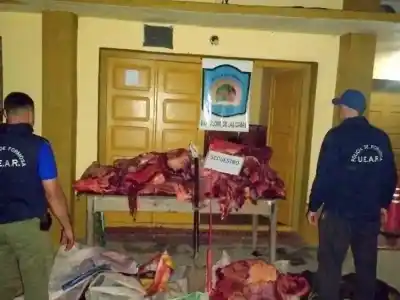 La banda faenaba vacas en el monte: la policía llegó y les llovieron balas