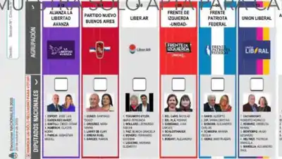 La UCR pone fecha a un debate que podría cambiar las reglas de juego en la provincia más grande del país