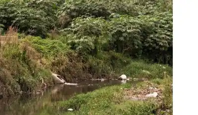 Juez federal enfrenta a Provincia de Buenos Aires por contaminación “aberrante” y un embargo millonario
