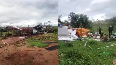 El viento arrasó una franja del norte misionero: un agricultor murió entre los yerbales