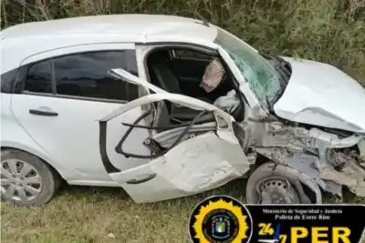 Chocó contra un poste de alta tensión y se fue: lo que encontró la Policía al llegar