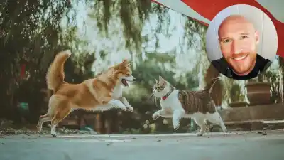 El secreto que explica por qué tu perro y tu gato se llevan bien en casa pero no en la calle