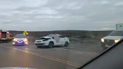 Manejaba con su familia a bordo: lo que encontraron en la ruta 237 les cambió todo