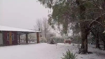 El frío hizo de las suyas en Pedernal: el paisaje que sorprendió a todos