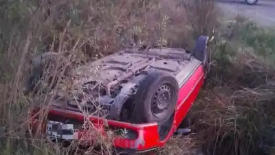 Iba por la ruta 37, esquivó un ciervo y terminó en una alcantarilla