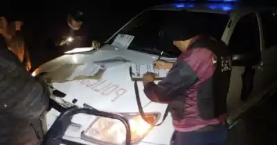 Los frenaron en un control en Salta y en la caja de la camioneta había algo que nadie esperaba
