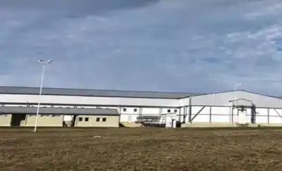 Los 200 trabajadores del frigorífico de Bernasconi esperan una respuesta que puede llegar en cualquier momento
