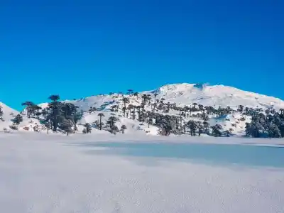 El plan que muchos neuquinos están armando para estirar el invierno unos días más
