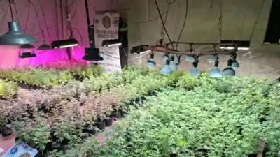 Allanaron una finca en Simoca y se toparon con algo que los dueños intentaron justificar
