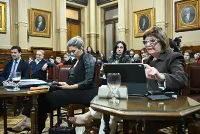 El Senado suma dos proyectos clave al debate y la interna por las PASO se enciende