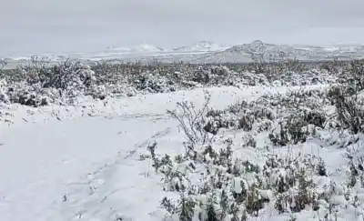 El oeste pampeano amaneció blanco otra vez: ¿hasta dónde llegó la nieve?