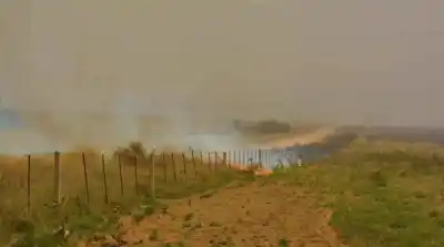 El Gobierno prepara un paquete de leyes que cambiará las reglas del campo: qué buscan con las tierras y los incendios