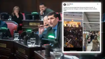 Milei mostró un shopping lleno para negar la crisis y un senador lo frenó en seco: "Es negar la realidad"