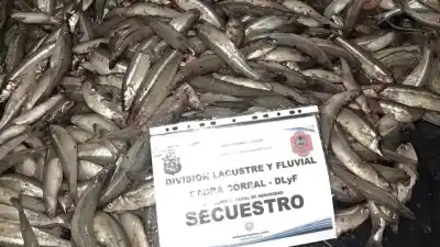 Tres pescadores volvían de noche con una camioneta cargada: lo que llevaban adentro los delató