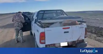 Una pick-up en la ruta 47 escondía algo más que un arma: lo que hallaron adentro