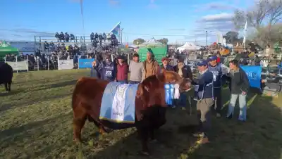 Viedma eligió a su gran campeón Angus: los detalles del toro que se llevó todos los aplausos
