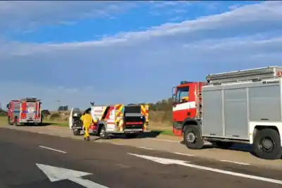 Una llamada de emergencia movilizó a bomberos entrerrianos: lo que encontraron en la ruta los dejó sin palabras
