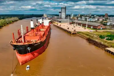 Concepción del Uruguay mueve 30.000 toneladas de madera hacia India: el detalle que cambia la logística