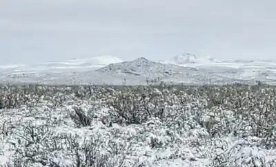 La nieve sorprendió en el oeste pampeano y el frío no da tregua: ¿hasta cuánto bajó el termómetro?