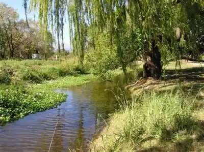 Villa Dolores se prepara para una jornada verde en la Reserva Río de los Sauces