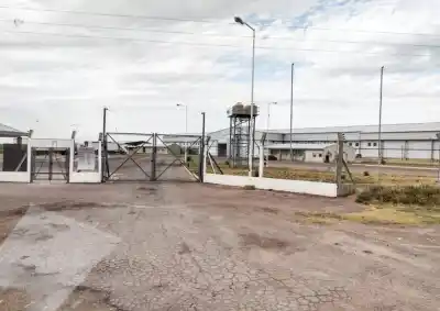 Bernasconi: la empresa desmintió el cierre del frigorífico y pidió "unos días" de espera para los sueldos