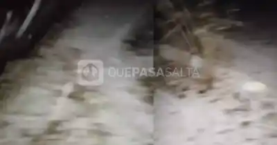 Salieron antes de que el cielo se desplomara: el pueblo salteño que amaneció bajo la nieve