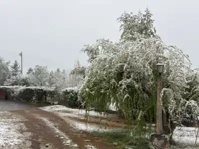 Tafí del Valle se tiñó de blanco: el video que muestra cómo está la villa este fin de semana