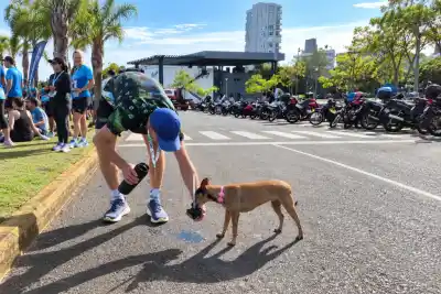 Corrió los 21K con su perra y dejó un mensaje que nadie esperaba en la meta