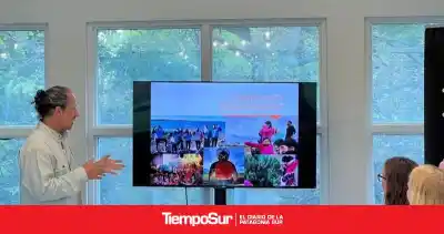 El ave más rara de la Patagonia está al borde de la extinción: lanzan un fondo para salvarla