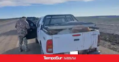 Trasladaban guanacos en una pick-up: lo que encontraron al revisar el vehículo