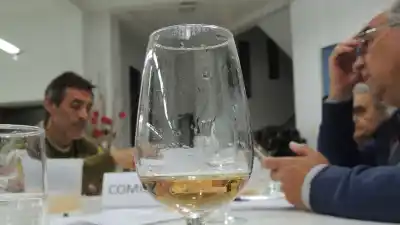 La Cata San Juan ya tiene a sus protagonistas: el número que sorprendió a los organizadores