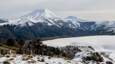 Chile abre la puerta a vivir en la Patagonia: alojamiento, comida y un detalle que pocos esperan