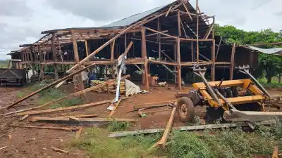 El tornado les dejó las chacras patas arriba y ahora no pueden secar el tabaco