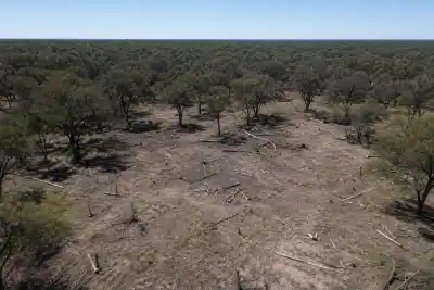 El campo pampeano que la Justicia mira desde el cielo: 342 hectáreas bajo la lupa