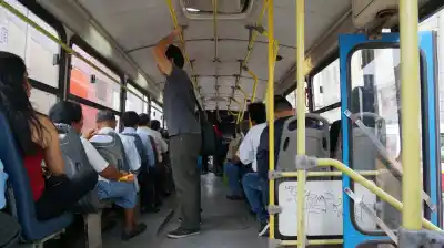 Viajaba en el 203, se cayó dos veces y ya no pudo volver a tocar el piano: la Justicia falló contra la empresa