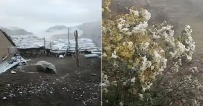 El video que sorprendió a todos: así empezó a nevar en una de las zonas más lindas de Salta
