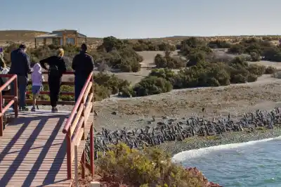 Punta Tombo abre con una promesa que cambiaría todo para los visitantes
