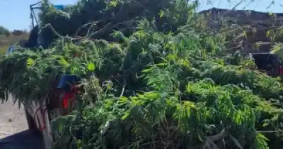 Lo que la policía buscaba en San Rafael no era lo que terminó encontrando